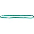 Liftex Coporation Liftex RoundUp 1inW 12'L Endless Poly Roundsling, Green ENR2X12D